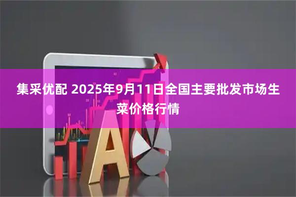 集采优配 2025年9月11日全国主要批发市场生菜价格行情