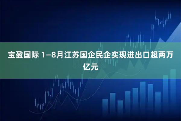 宝盈国际 1—8月江苏国企民企实现进出口超两万亿元