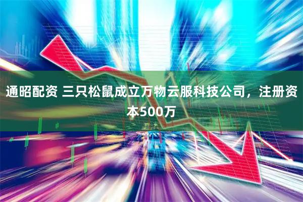 通昭配资 三只松鼠成立万物云服科技公司，注册资本500万