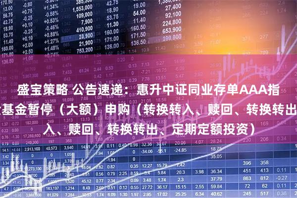 盛宝策略 公告速递：惠升中证同业存单AAA指数7天持有期基金基金暂停（大额）申购（转换转入、赎回、转换转出、定期定额投资）