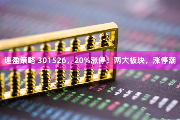 速盈策略 301526，20%涨停！两大板块，涨停潮